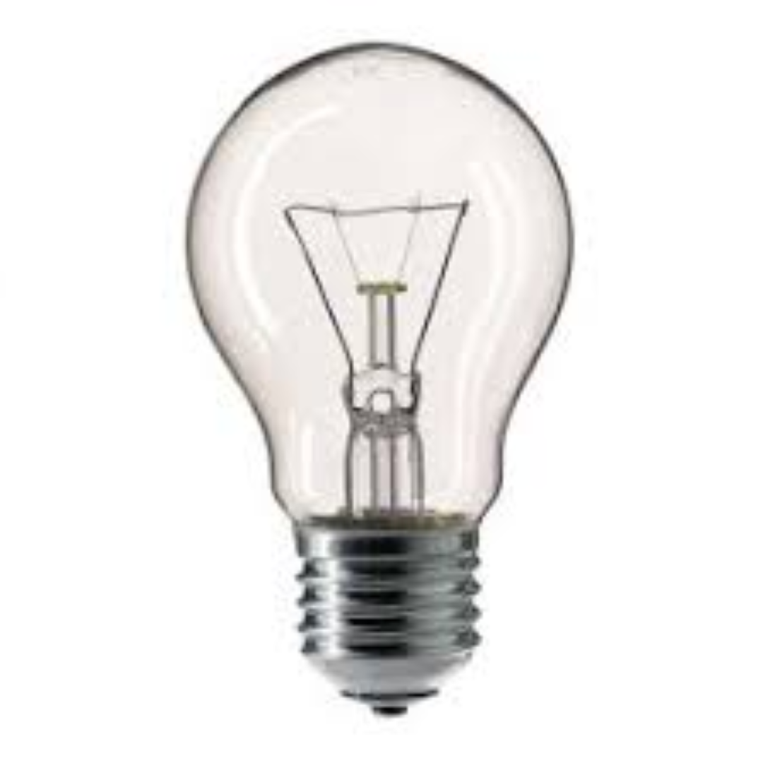 PHILIPS GLS 230V 100W E27 FR A55